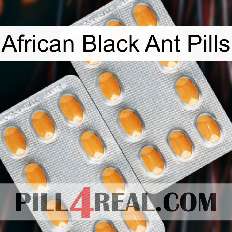 African Black Ant Pills cialis4